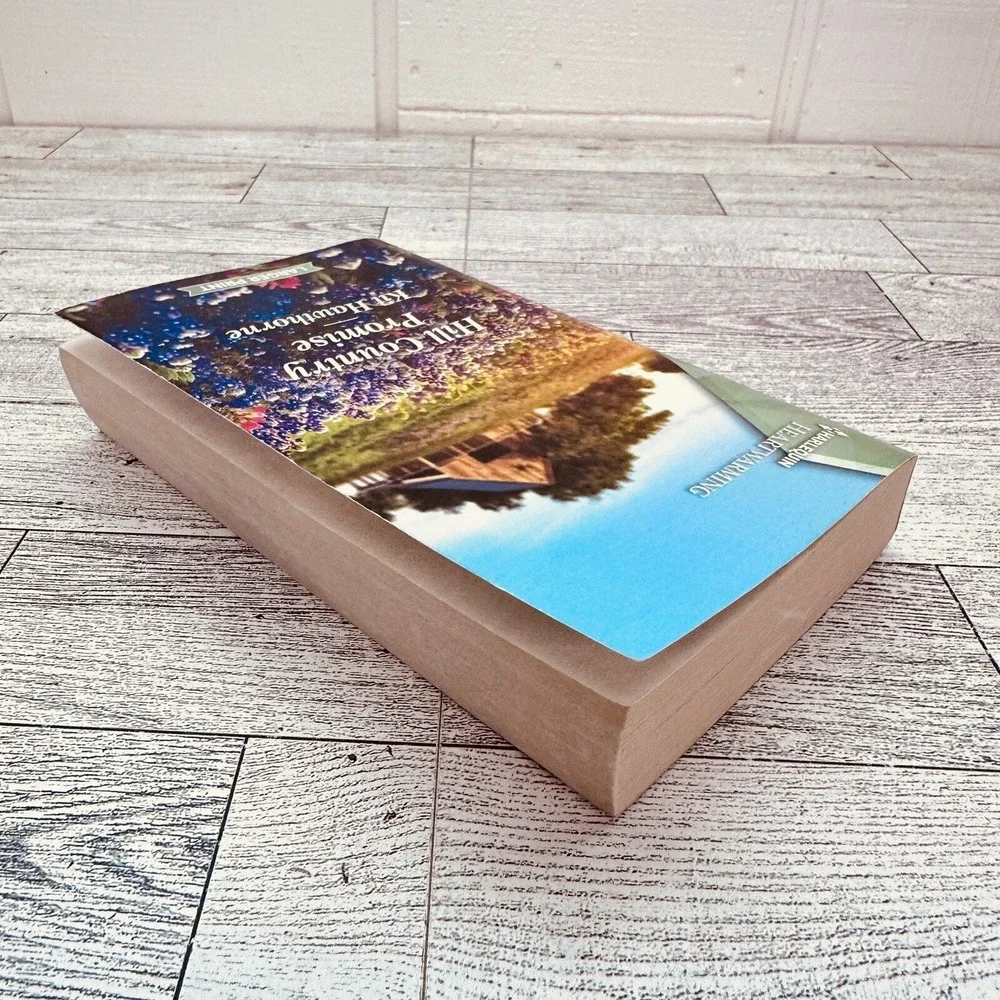 LARGER PRINT Hill Country Promise - Kit Hawthorne Harlequin Heartwarming Romance